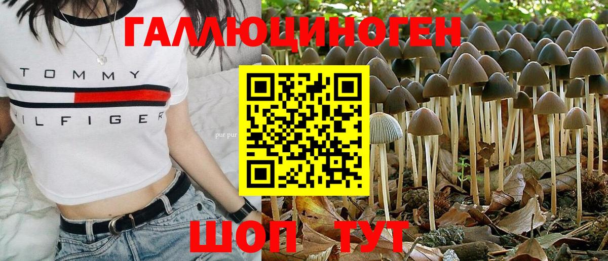 Псилоцибиновые грибы прущие грибы Нерюнгри