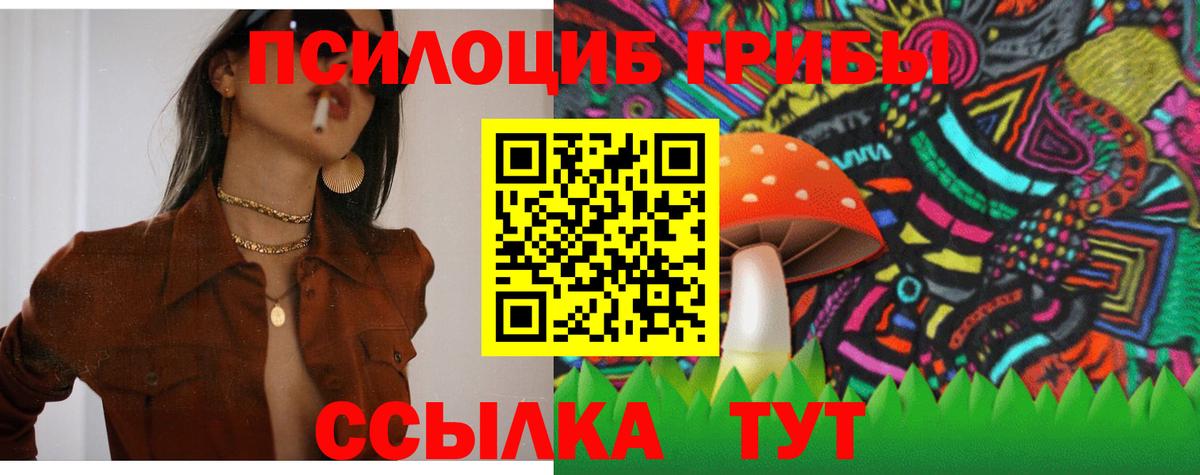 Галлюциногенные грибы Psilocybe  Вход с VPN  Нерюнгри  Псилоцибиновые грибы Psilocybine cubensis 