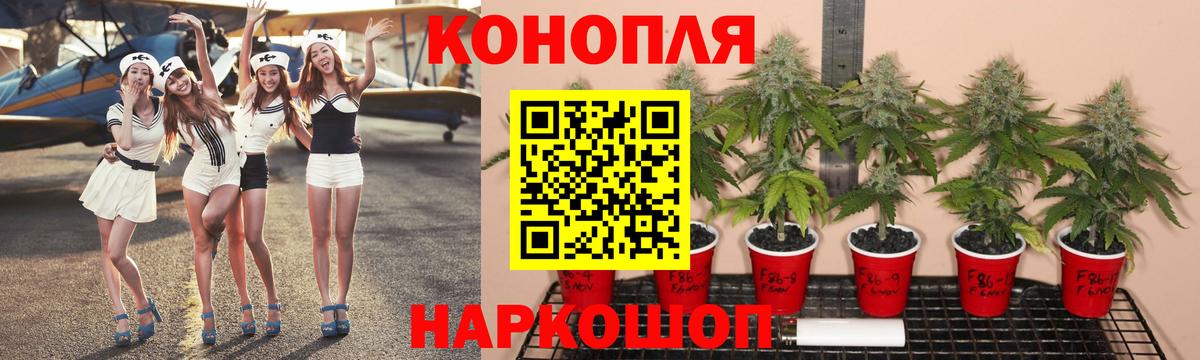 Бошки Шишки OG Kush  Вход с VPN  Нерюнгри  Шишки марихуана OG Kush  Канабис марихуана 